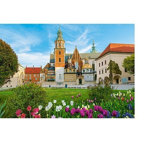 Puzzle 500 pieces Wawel Castle in Krakow, Poland цена и информация | Puzles, 3D puzles | 220.lv