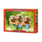 Puzzle 500 pieces Puppies adorable dachshunds cena un informācija | Puzles, 3D puzles | 220.lv