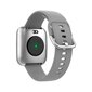 Forever ForeVigo 2 SW-310 Silver cena un informācija | Viedpulksteņi (smartwatch) | 220.lv