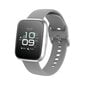 Forever ForeVigo 2 SW-310 Silver цена и информация | Viedpulksteņi (smartwatch) | 220.lv