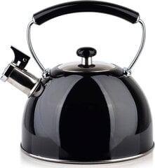 Чайник VINTAGE COOKINI, 2.5 л, черный  цена и информация | Чайники, кофейники | 220.lv