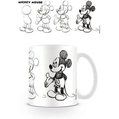Pyramid International  Disney Mickey Mouse Sketch Process цена и информация | Атрибутика для игроков | 220.lv