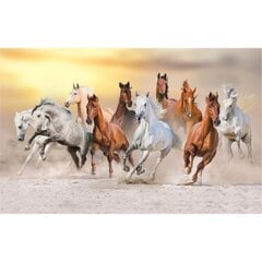 Fototapetes ar lecošiem zirgiem saulrietā cena un informācija | Fototapetes | 220.lv