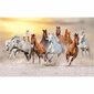 Fototapetes ar lecošiem zirgiem saulrietā цена и информация | Fototapetes | 220.lv