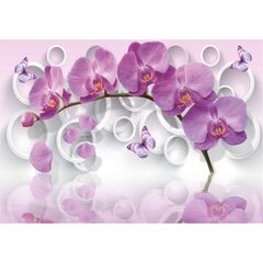 Tauriņu orhideju fototapetes цена и информация | Фотообои | 220.lv