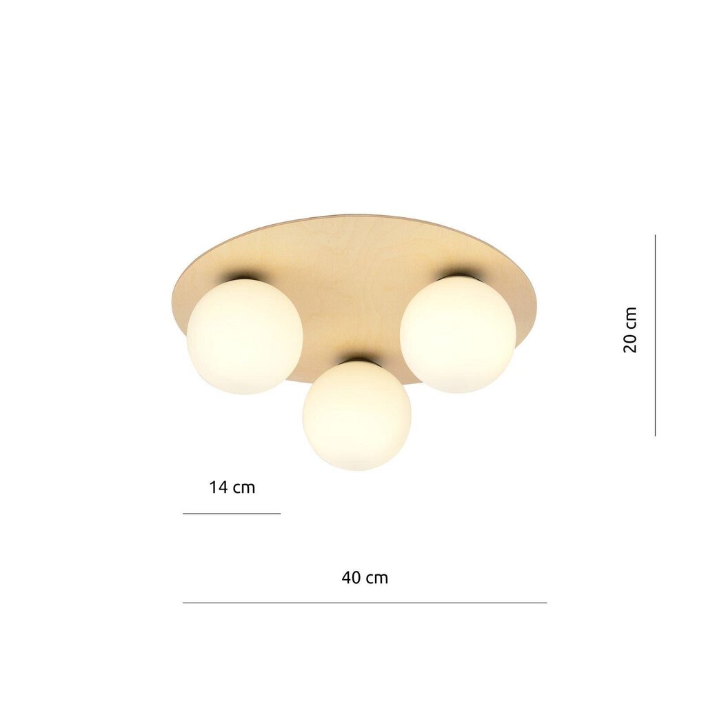 Emibig lampa Kenzo 3B цена и информация | Griestu lampas | 220.lv