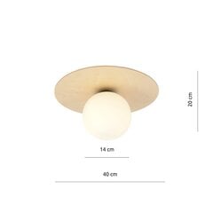 Emibig lampa Kenzo 1B cena un informācija | Griestu lampas | 220.lv