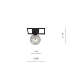 Emibig gaismeklis Imago 1E Black/Grafit cena un informācija | Griestu lampas | 220.lv