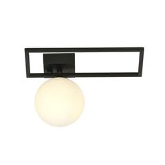 Emibig gaismeklis Imago 1D Black/Opal cena un informācija | Griestu lampas | 220.lv