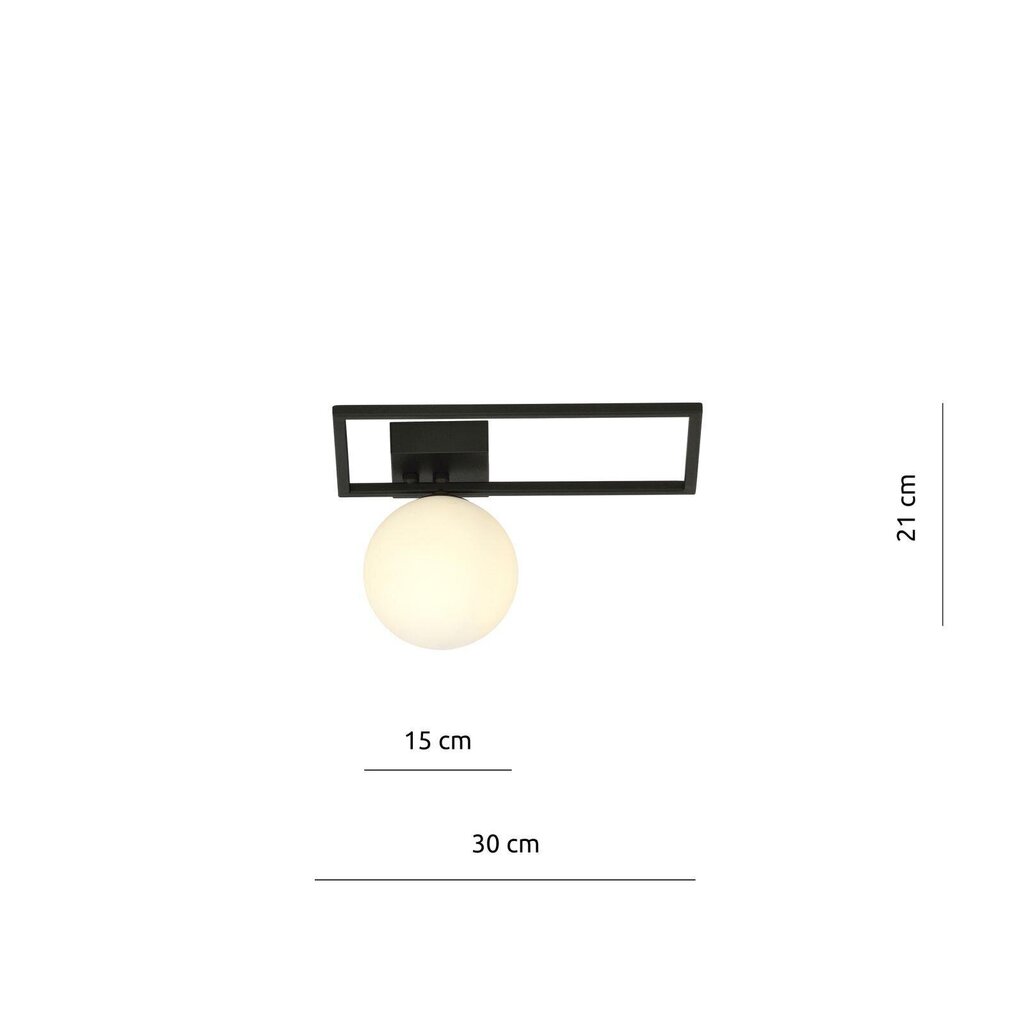 Emibig gaismeklis Imago 1D Black/Opal цена и информация | Griestu lampas | 220.lv