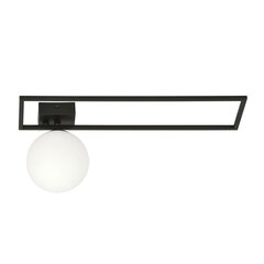 Emibig светильник Imago 1A Black/Opal цена и информация | Потолочные светильники | 220.lv