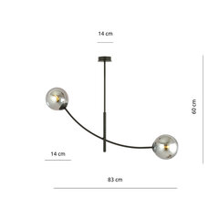 Emibig gaismeklis Hunter 2 Black/Grafit cena un informācija | Piekaramās lampas | 220.lv