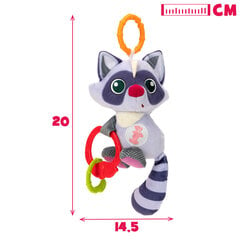 Подвесная игрушка со звуковыми и световыми эффектами - Raccoon Winfun, 3м+ цена и информация | Игрушки для малышей | 220.lv