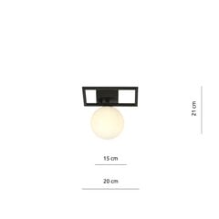 Emibig gaismeklis Imago 1E Black/Opal cena un informācija | Griestu lampas | 220.lv
