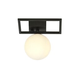 Emibig gaismeklis Imago 1E Black/Opal cena un informācija | Griestu lampas | 220.lv