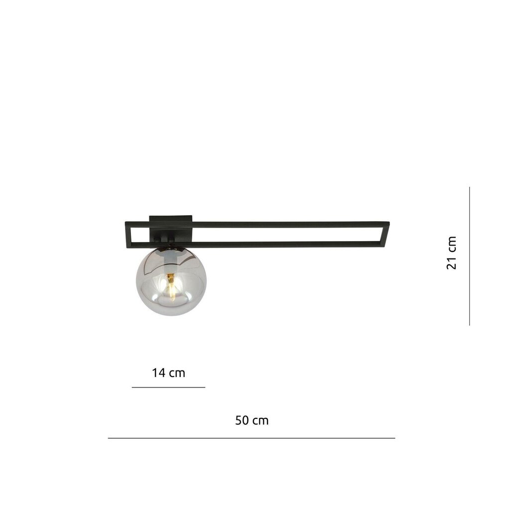 Emibig gaismeklis Imago 1C Black/Grafit цена и информация | Griestu lampas | 220.lv