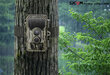 Sjcam M50 woodland green cena un informācija | Sporta kameras | 220.lv