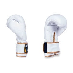 Боксерские перчатки Dbd Bushido Dbd-B-2 10oz цена и информация | Боевые искусства | 220.lv