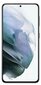 Samsung Galaxy S21, 256GB, Dual SIM Black цена и информация | Mobilie telefoni | 220.lv