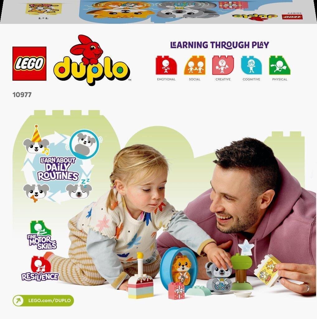 10977 LEGO® DUPLO Mans pirmais kucēns un kaķēns ar skaņām cena un informācija | Konstruktori | 220.lv