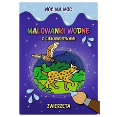 krāsojamās lapas bērniem - dzīvnieki цена и информация | Книжки - раскраски | 220.lv