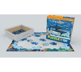 Puzle Eurographics, 6100-0079, Sharks, 100 gab. cena un informācija | Puzles, 3D puzles | 220.lv