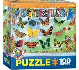 Puzle Eurographics, 6100-5485 ® Garden Butterflies cena un informācija | Puzles, 3D puzles | 220.lv