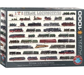 Puzle Eurographics, 6000-0090, Steam Locomotives, 1000 gab. cena un informācija | Puzles, 3D puzles | 220.lv