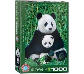 Пазл Eurographics, 6000-0173, Panda and Baby, 1000 шт. цена и информация | Пазлы | 220.lv