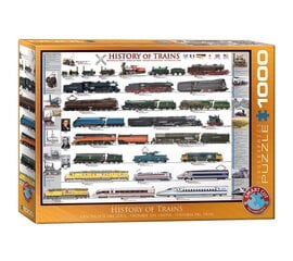 Puzle Eurographics, 6000-0251, History of Trains, 1000 gab. cena un informācija | Puzles, 3D puzles | 220.lv