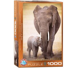 Puzle Eurographics, 6000-0270, Elephant and Baby, 1000 gab. cena un informācija | Puzles, 3D puzles | 220.lv