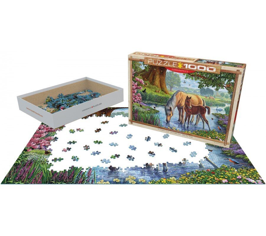 Puzle Eurographics, 6000-0976, The Fell Ponies, 1000 gab. cena un informācija | Puzles, 3D puzles | 220.lv