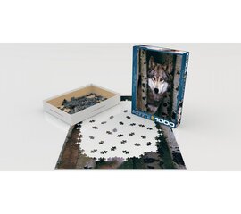 Puzle Eurographics, 6000-1244, Gray Wolf, 1000 gab. cena un informācija | Puzles, 3D puzles | 220.lv