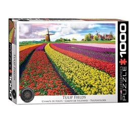 Пазл Eurographics, 6000-5326, Tulip Fields, 1000 шт. цена и информация | Пазлы | 220.lv