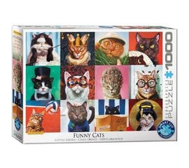 Puzle Eurographics, 6000-5522, Funny Cats, 1000 gab. cena un informācija | Puzles, 3D puzles | 220.lv