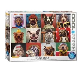 Puzle Eurographics, 6000-5523, Funny Dogs, 1000 gab. cena un informācija | Puzles, 3D puzles | 220.lv