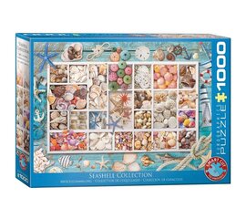 Puzle Eurographics, 6000-5529, Seashell Collection, 1000 gab. cena un informācija | Puzles, 3D puzles | 220.lv