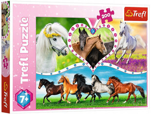 Пазл Puzzle 278 красивые лошади, 200шт цена и информация | Пазлы | 220.lv
