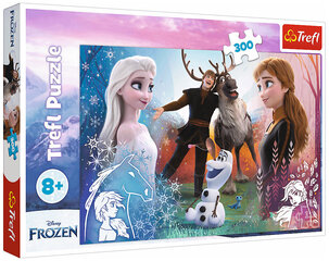 Puzle 289 Frozen 2 / *300gab cena un informācija | Puzles, 3D puzles | 220.lv