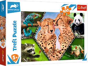 Пазл Puzzle 088 animal planet, 100шт цена и информация | Пазлы | 220.lv