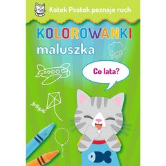 bērnu grāmatas suns-kaķēns prot kustību - kādi gadi? cena un informācija | Krāsojamās grāmatas | 220.lv