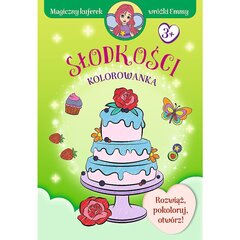 книги для детей дело феи эммы - сладкий цена и информация | Книжки - раскраски | 220.lv