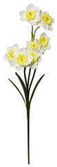 Поддельный цветок цена и информация | цветочные соцветия 1 шт | 220.lv