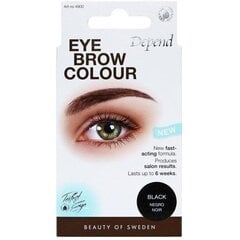 Depend skropstu un uzacu krāsa Perfect Eye, brūna цена и информация | Карандаши, краска для бровей | 220.lv