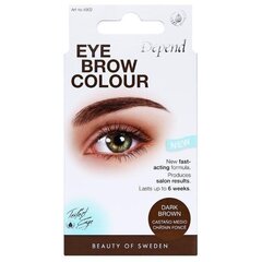 Depend skropstu un uzacu krāsa Perfect Eye, brūna цена и информация | Карандаши, краска для бровей | 220.lv