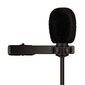 Platinet mikrofons ar klipsi, melns cena un informācija | Mikrofoni | 220.lv
