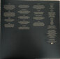 Imagine Dragons - Mercury - Act 1, LP, vinila plate, 12" vinyl record цена и информация | Vinila plates, CD, DVD | 220.lv