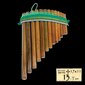 Kuvitsi 13 skaņu Terre Panpipe 13 цена и информация | Pūšamie instrumenti | 220.lv