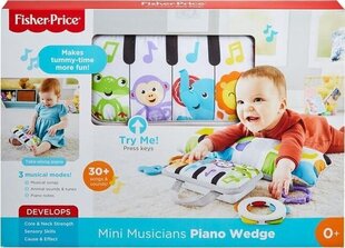 Мягкое мини-пианино Fisher-Price® GJD27 цена и информация | Игрушки для малышей | 220.lv