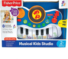 Fisher-Price bērnu mūzikas studija/klavieres цена и информация | Развивающие игрушки | 220.lv